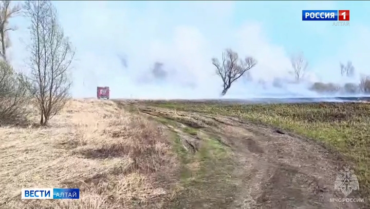 В Алтайском крае сегодня зафиксированы 69 термически активных точек 