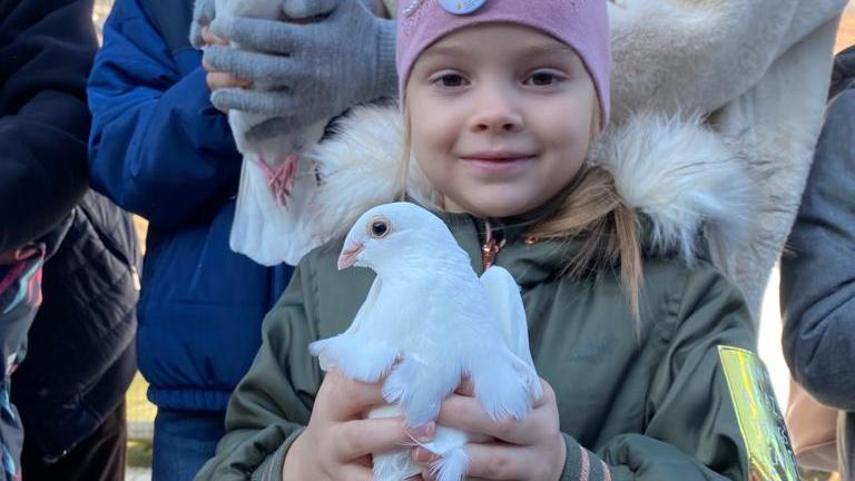 В Барнауле планируют возрождать породу алтайских голубей