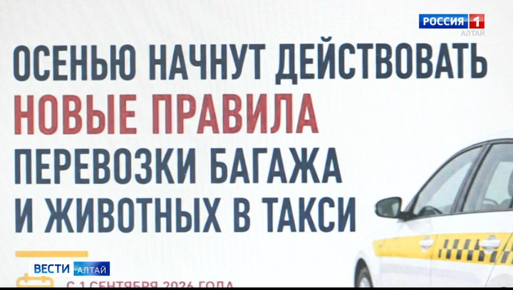 С 1 сентября в России изменятся правила перевозки багажа, ручной клади и животных в такси