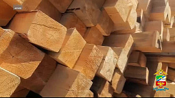 Суд вынес приговор жителю Угловского района, обвиняемому в контрабанде лесоматериалов