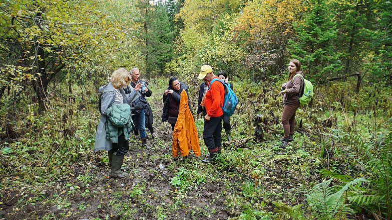 В Алтайском крае туристы смогут увидеть, как «текут» каменные реки