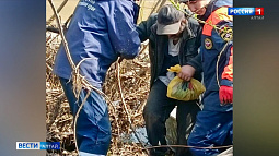 В Алтайском крае мужчина потерялся в нежилом посёлке, в который не ведут дороги