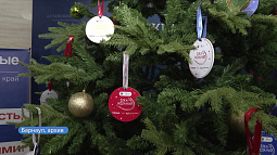 В Алтайском крае продолжается акция «Ёлка желаний»