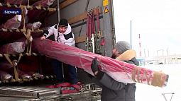 В Барнаул из Португалии прибыла первая партия лодок премиального класса