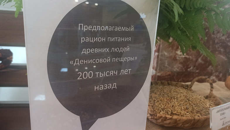 У Денисовой пещеры установят огромные деревянные качели, двухметровую иглу и бивень мамонта
