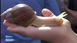 Образовательный проект «Живая наука» стал участником фестиваля социального предпринимательства