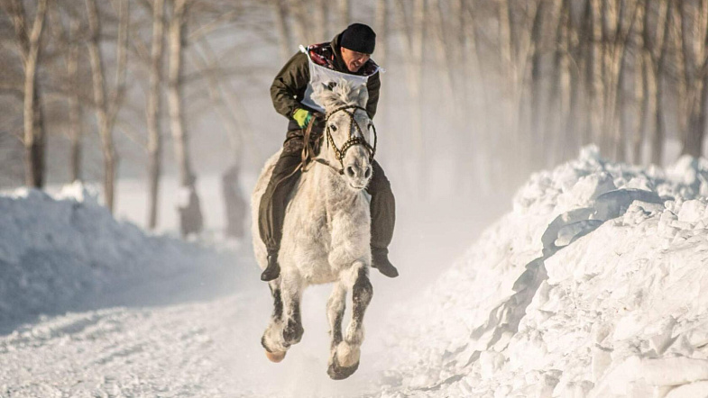 В Налобихе пройдут конные бега беспородных лошадей