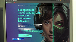 Злоумышленники подделали фрагмент программы «Вести Алтай»