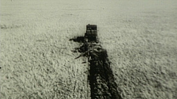 В Алтайском крае отмечают 70-летие освоения целины