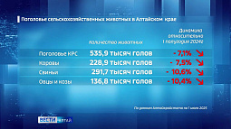Жители края стали реже разводить коров и коз