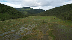 Болото, которое непрерывно формируется 9 тысяч лет, исследуют на Алтае