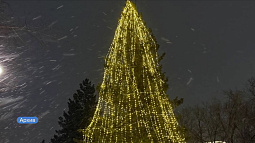 В Барнаульском парке «Изумрудный» зажгли огни на ёлке