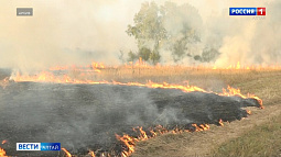 Алтайских аграриев, которые жгли сухую траву на полях, могут лишить государственных субсидий в 2026 году