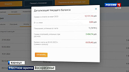 Жители барнаульского пригорода по итогам марта оказались в должниках за электроэнергию