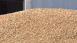 Более миллиона тонн растительной продукции отправлено на экспорт из Алтайского края