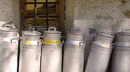  Антимонопольная служба края начала разбирательство по поводу снижения закупочных цен на молоко