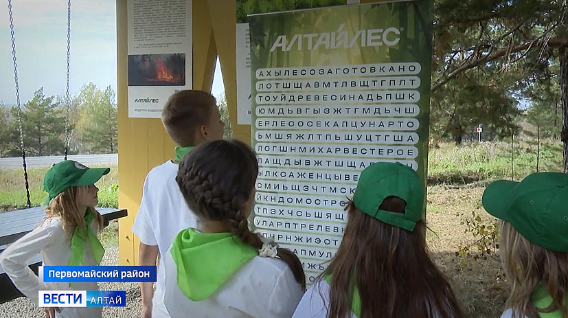 Компания «Алтайлес» помогла реализовать сразу несколько дорогостоящих социальных проектов