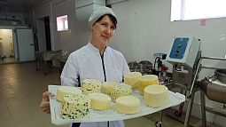 В крае появился новый производитель сыров и молочной продукции