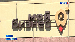 Проверки бизнеса на Алтае сократили до минимума