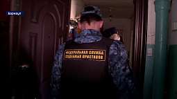Почти три миллиарда рублей должны детям алтайские неплательщики алиментов