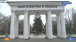 В барнаульском парке «Изумрудный» уже начали украшать новогоднюю ель