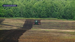 Фирменная крупа Алтайского края - гречка - сдает позиции