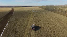 Свыше полумиллиарда рублей получит Алтайский край на подготовку кадров для АПК