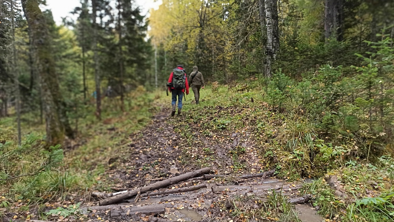В Алтайском крае туристы смогут увидеть, как «текут» каменные реки