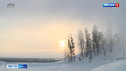 Алтайские спортсмены порадовали медалями в последние дни уходящего года 