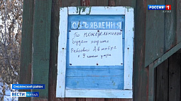 В Смоленском районе возобновили автобусное сообщение между райцентром и ближайшими населёнными пунктами