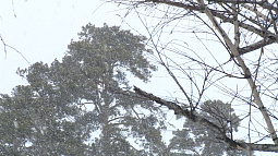 В Алтайском крае прогнозируется дальнейшее ухудшение погоды