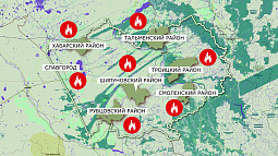 Алтайский край продолжает полыхать: количество ландшафтных пожаров и сельхозпалов резко возросло