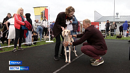 Национальная выставка собак всех пород «Азия Осень 2025» состоялась на гребном канале в Барнауле