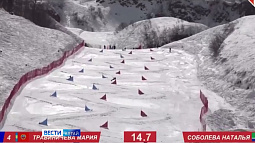 Лучшие сноубордисты мира сегодня будут соревноваться в альпийских дисциплинах в Италии