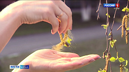 Как отличить летнюю ОРВИ от аллергии?