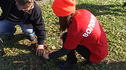 В Алтайском крае ищут волонтёров для высадки леса