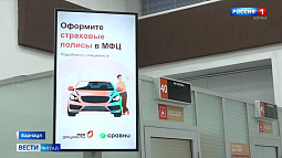 В офисах МФЦ можно выбрать наиболее выгодный полис ОСАГО и оформить документ