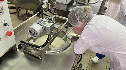 В Алтайском крае выяснят, кто сделал лучший сыр 