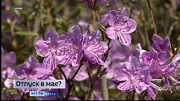 Брать или не брать отпуск в мае?