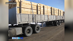 Ущерб алтайским лесам от чёрных лесорубов оценили в 15 млн руб. с начала года