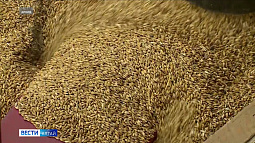 На прилавках почти 30 стран мира есть продукты, сделанные на Алтае