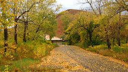 Кто такие талагаи и откуда они переселились на Алтай?