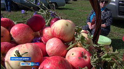 В селе Макарьевка Алтайского района широко отметили Медовый и Яблочный Спас