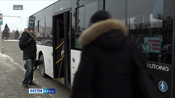 Работодатели края вновь столкнулись с острой нехваткой водителей общественного транспорта