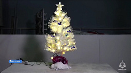 Эксперты НИИ противопожарной обороны МЧС подожгли гирлянды и ёлки в научных целях