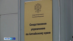 Жительницу Барнаула обвиняют в покушении на заказное убийство невестки
