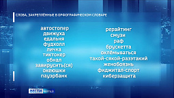 «Движуха», «смузи», «тако́й-сяко́й-разэ́такий» и ещё 657 слов официально закреплены в русском языке