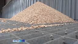 Алтайским аграриям удалось установить новый рекорд по экспорту зерна в Китай 