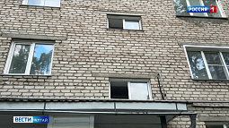 Любовь к кошкам довела до судебного разбирательства жительницу Камня-на-Оби