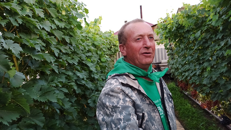Житель Тогула знает секрет, как в Сибири выращивать виноград размером со сливу